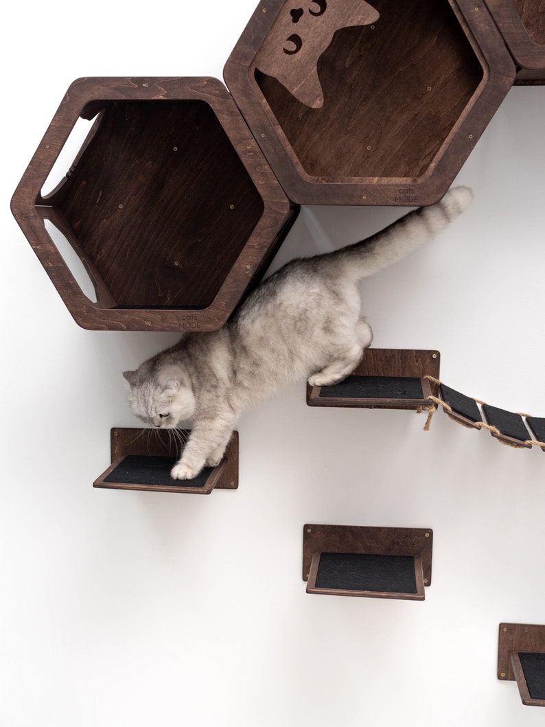 May include: A cat climbing a wooden cat tree with multiple levels and a rope bridge. The cat tree is mounted on a white wall. The cat tree has a hexagonal shaped cat house with the text "cats mode" on the side.