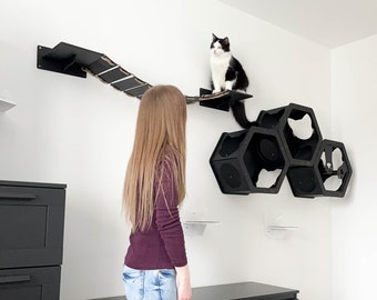 Wall Cat Bridge, Cat Wall Furniture, Cat Wall Toy, Cat Shelves Set for Wall, Wood Bridge for Cat, Cat Wall Mounted Bridge, Cat Bridge Ladder