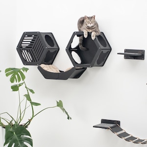 May include: A gray tabby cat sits on a black hexagonal cat shelf. The wall-mounted cat furniture includes a variety of shapes, including a cube with a bed, a shelf, and a rope bridge. A potted plant is in the lower left corner.