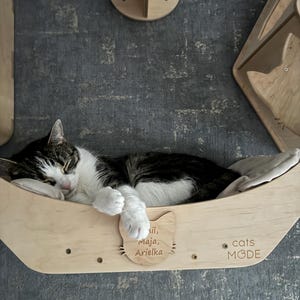May include: A wooden cat bed with a cat sleeping inside. The bed has a cat-shaped cutout with the text "Lil, Maja, Ariellka" and the text "cats MODE" on the bottom.