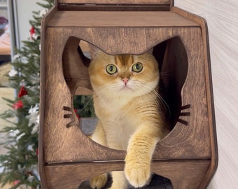 Meubles modernes pour chat, Ensemble d'étagères pour chat, Ensemble de meubles muraux pour chat, Jouets pour chat, Cabane d'extérieur en bois pour chat, Lit en bois pour animal de compagnie, Perchoir en bois pour chat