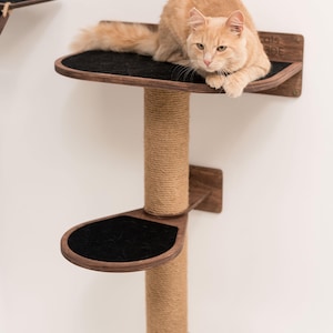 May include: A wall-mounted cat tree with a brown wooden base and a sisal-covered scratching post. The tree has three platforms covered in black fabric. A ginger cat is sitting on the top platform.