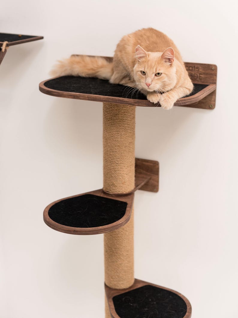May include: A wall-mounted cat tree with a brown wooden base and a sisal-covered scratching post. The tree has three platforms covered in black fabric. A ginger cat is sitting on the top platform.