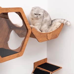 May include: A wooden cat tree with a hexagonal shaped bed, a hammock bed, and a ramp. A white cat is sitting on the hammock bed. The cat tree is mounted on a white wall.