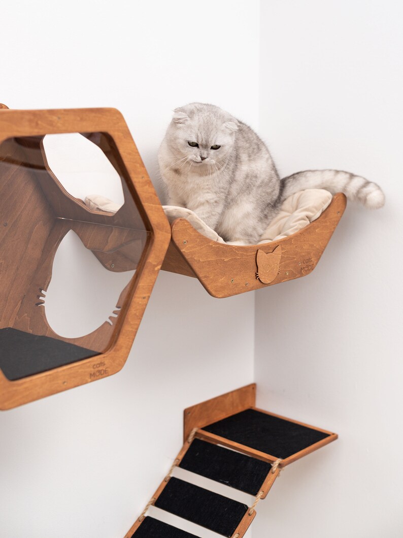 May include: A wooden cat tree with a hexagonal shaped bed, a hammock bed, and a ramp. A white cat is sitting on the hammock bed. The cat tree is mounted on a white wall.