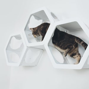 Cat Wall Furniture, Cat Tree, Cat Hexagons Shelves, Play House for Cat, Kitten Climbing Wall, Cat Owner Gift, Pet Gifts, CatsMode
