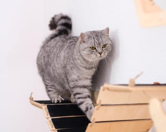 Prateleiras De Parede Para Gatos LazyWomen - Conjunto Com 7 Peças - Escalada E Diversão