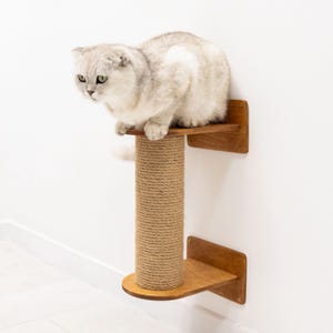 Peut inclure: Un chat argenté est assis sur un arbre à chat en bois avec un poteau à gratter en sisal. L'arbre à chat est fixé à un mur blanc. Le chat a les yeux verts et regarde vers la gauche.
