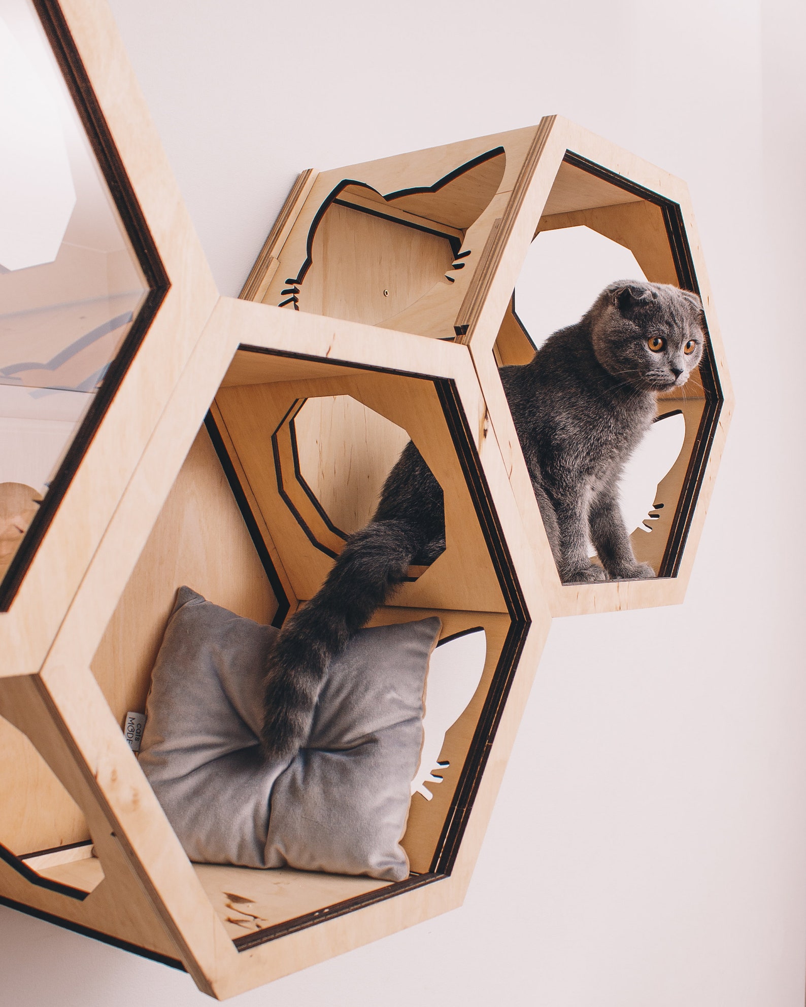Cat Shelves for Wall Hexagon Cat Shelf Modern Cat Furniture Etsy