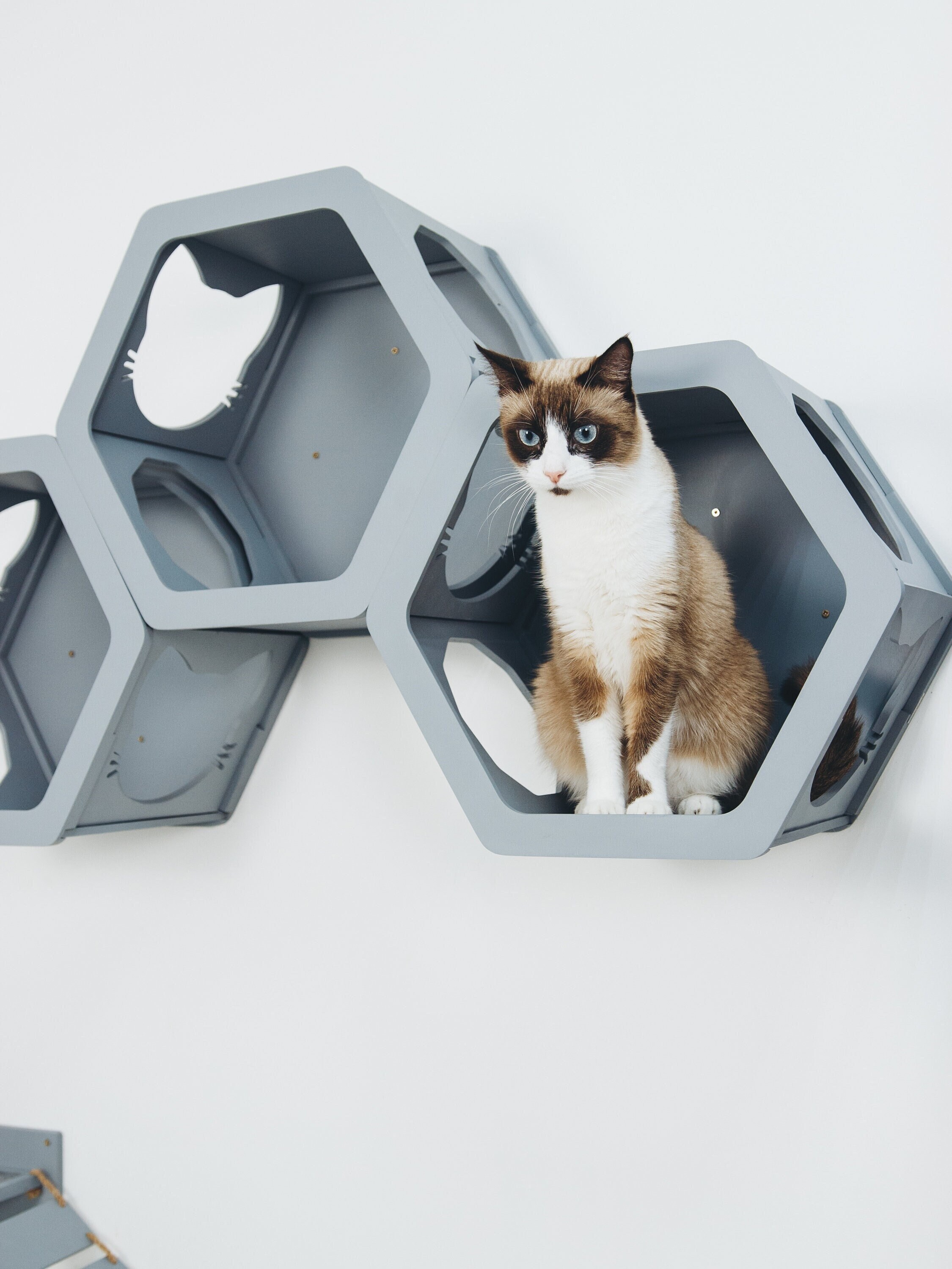 hexagon cat shelf