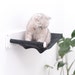 see more listings in the Cat Hammock section