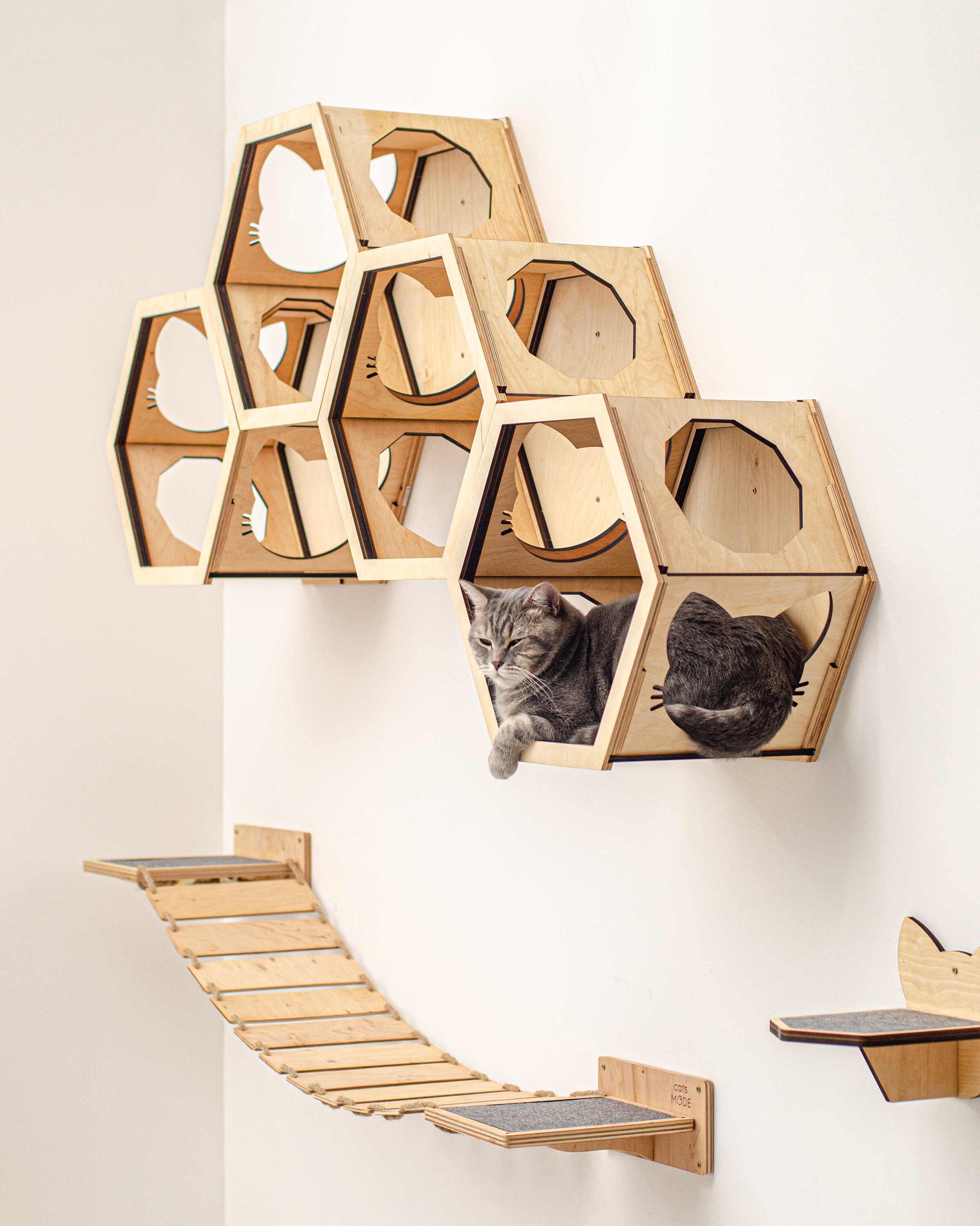 Wall Furniture for Cats Kitty Shelves Set with Cat Bridge and Etsy