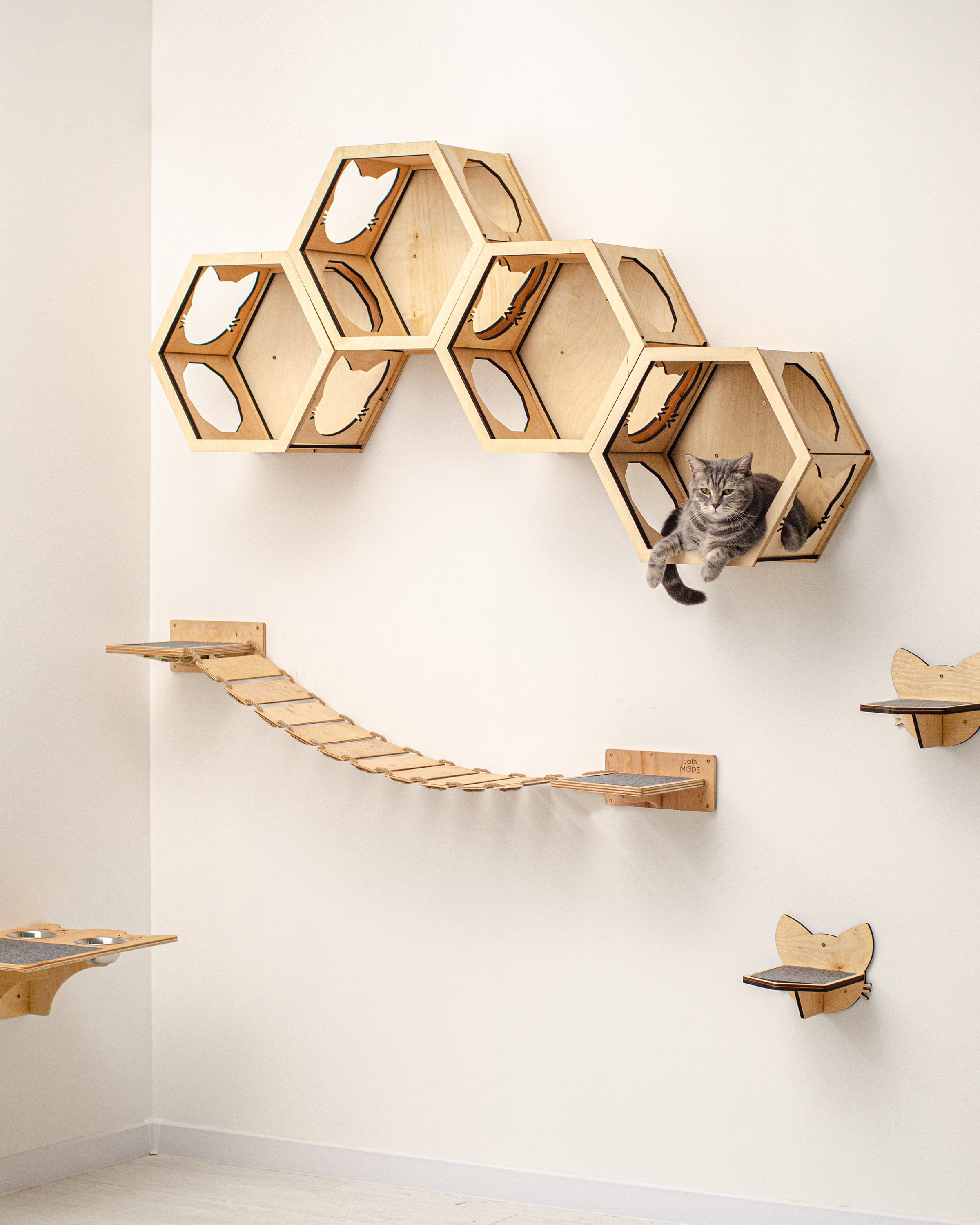 Wall Furniture for Cats Kitty Shelves Set with Cat Bridge and Etsy
