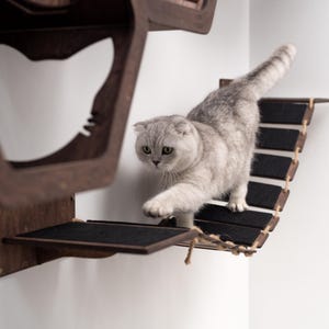 Cat Wall Bridge, Wooden Cat Bridge, Cat Wall Furniture, Wall Mounted Bridge, Wall Wooden Bridge, Cat Bed, Cat Steps, Cat Playing Lover Gift