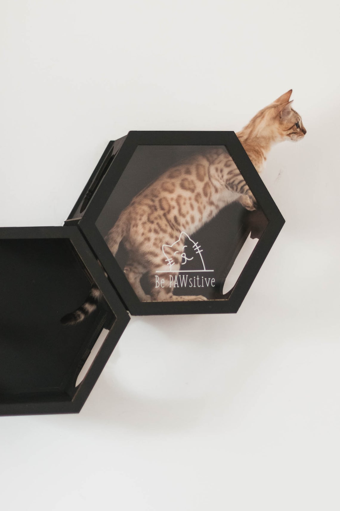 Cat Furniture Wall Mounted Cat Bed Pet Furniture Cat Shelves Etsy