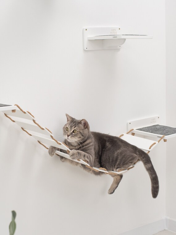 Best top cat shelves