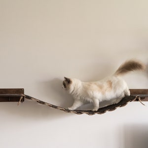 Cat Bridge Etsy