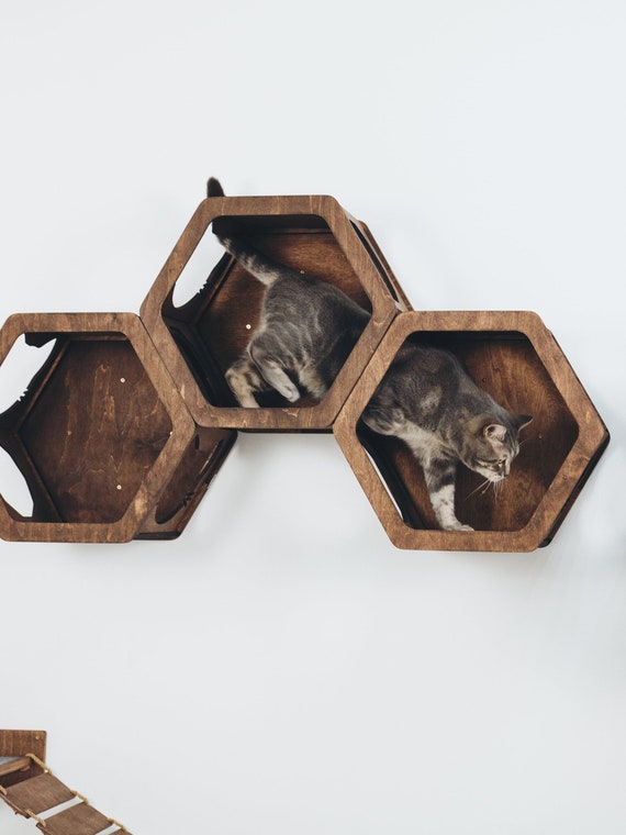 modern cat shelves