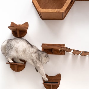 Decor Frame Cat Wall Hexagon , Cat Wall Playground, Modern Cat Shelves Set, Cat Bed for Wall, Cat Wood Hexagon, Cat Wall Bridge