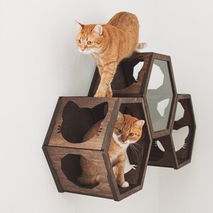 Cat Wall Furniture, Cat Wall Shelves, Cat Furniture, Cat Wall Sets, Wall Shelves for Cat, Design Hexagon for Cat, Big Cat Furniture zdjęcie 8