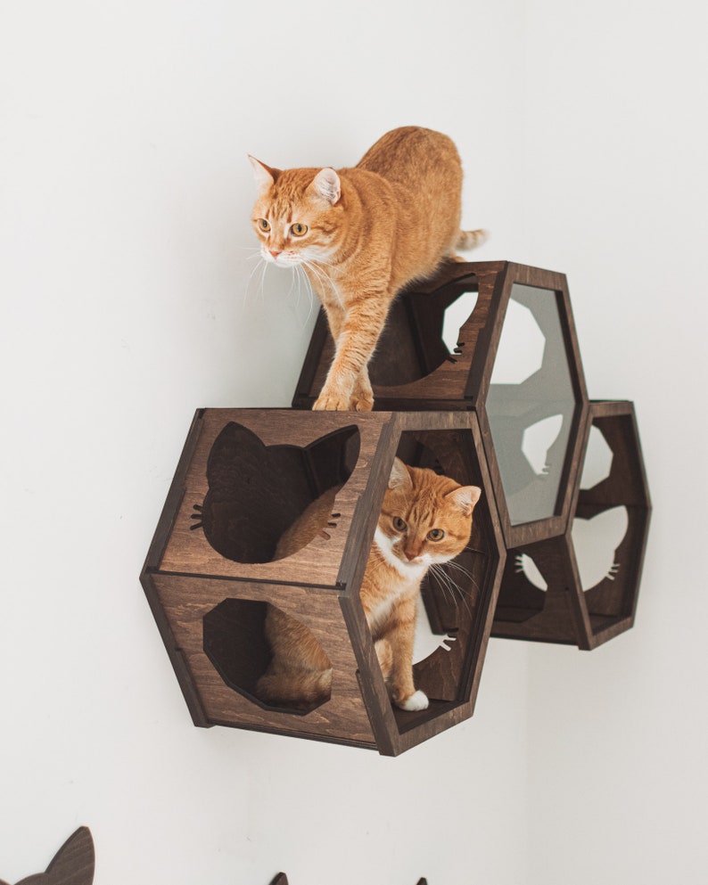 Cat Wall Furniture, Cat Wall Shelves, Cat Furniture, Cat Wall Sets, Wall Shelves for Cat, Design Hexagon for Cat, Big Cat Furniture zdjęcie 8