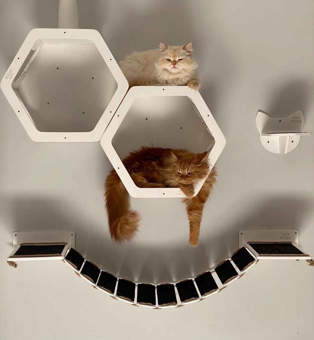 Picture of Wall Mounted Bridge, Cat Wall Bridge, Cat Wall Furniture, Cat Bed, Cat ...