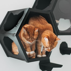 Cat Wall Furniture, Cat Wall Shelves, Cat Furniture, Cat Wall Sets, Wall Shelves for Cat, Design Hexagon for Cat, Big Cat Furniture zdjęcie 3