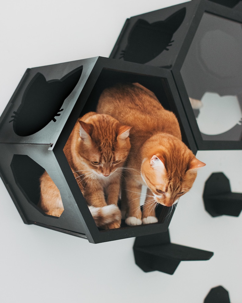 Cat Wall Furniture, Cat Wall Shelves, Cat Furniture, Cat Wall Sets, Wall Shelves for Cat, Design Hexagon for Cat, Big Cat Furniture zdjęcie 3