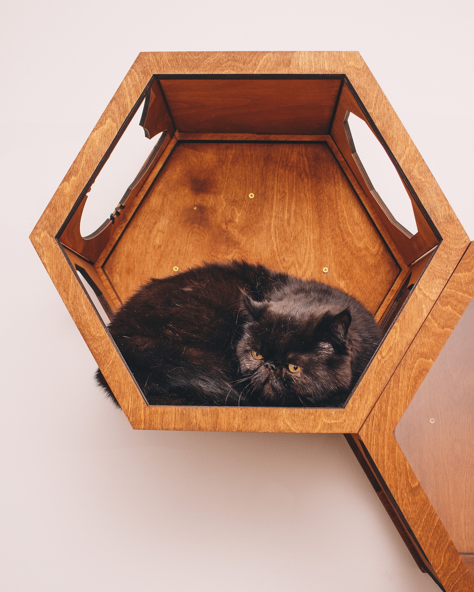 Wooden Hexagon for Cat New Home Gift Indoor Cat House Wall Cat Etsy