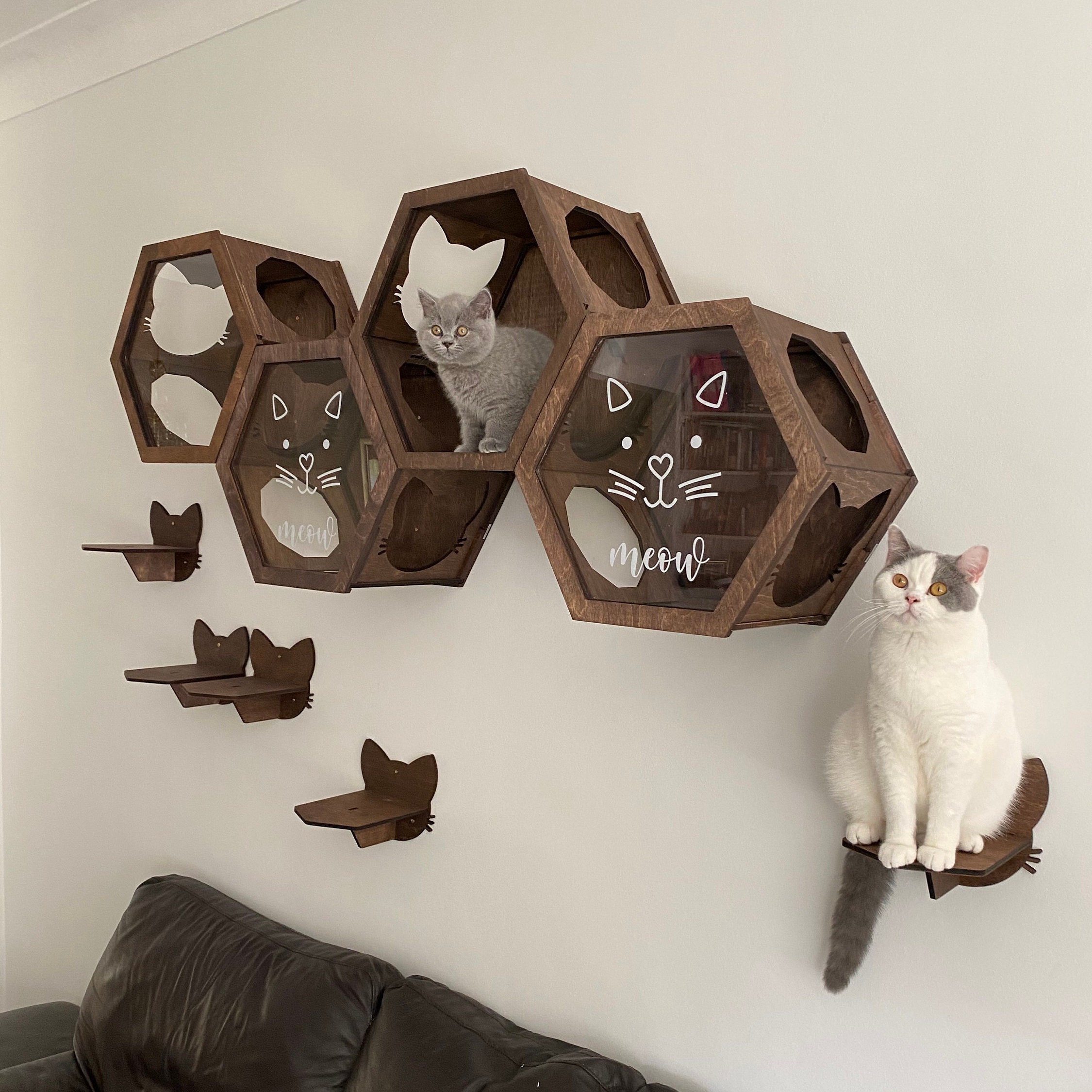 Cat Shelves for Wall Cat Furniture Wall Cat Bridge Rustic Cat Etsy