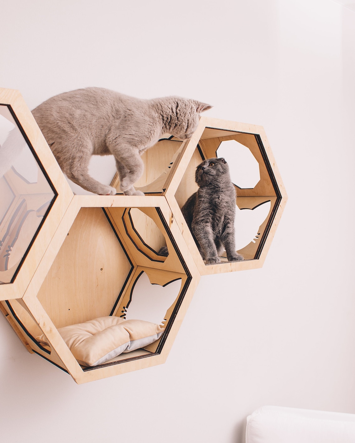 Cat Shelves for Wall Cat Wall Shelf Cat House Wall Modern Cat Etsy