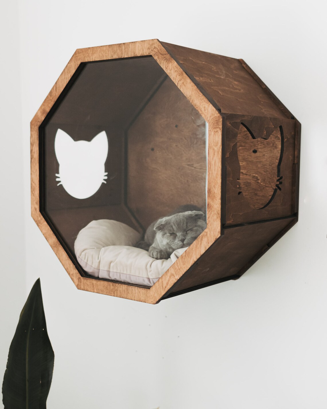 Wall Bed for Cats Modern Cat Bed Wooden Cat House Indoor Etsy