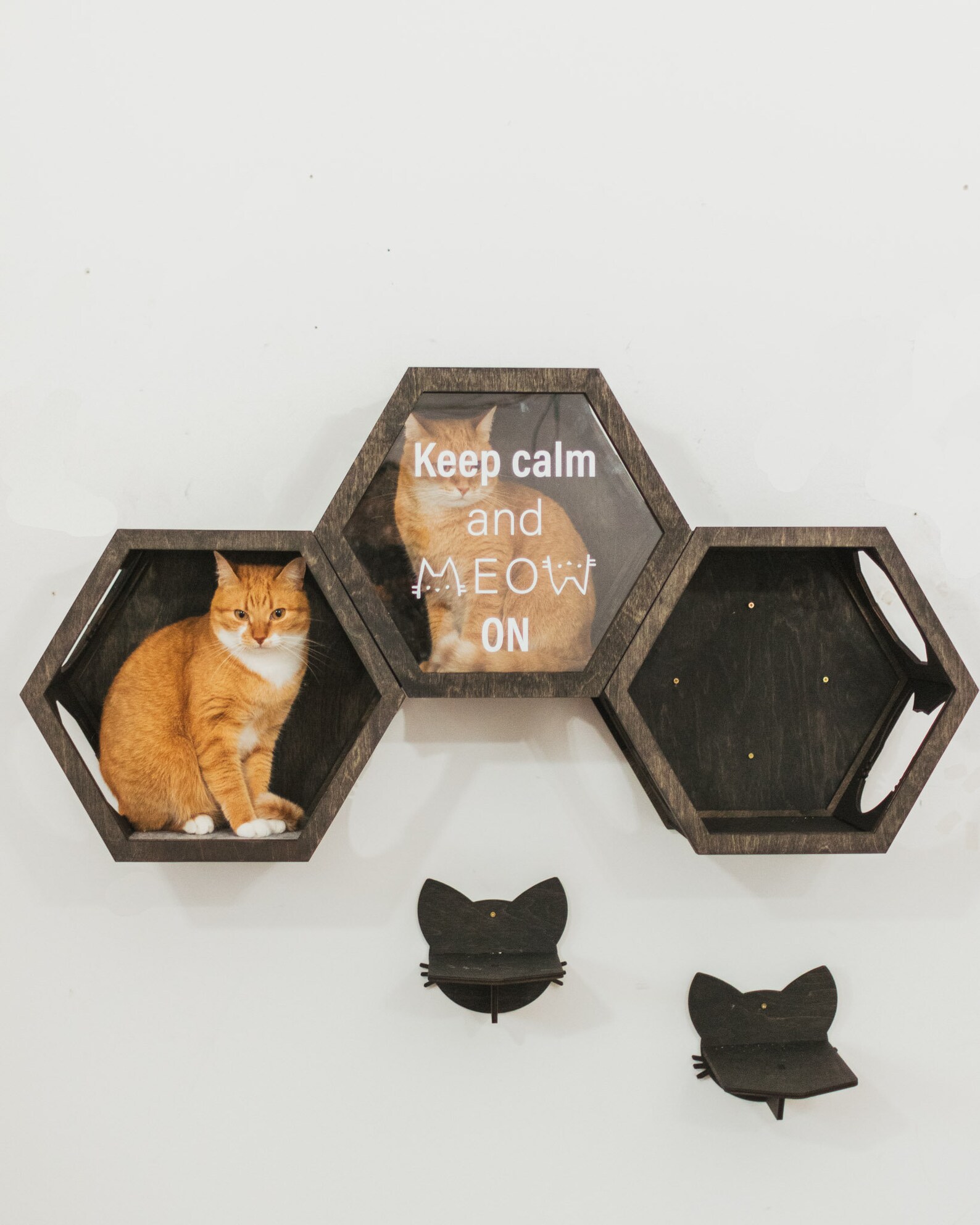 Cat Hexagon Shelf Cat Shelves for Wall Wooden Cat Furniture Etsy