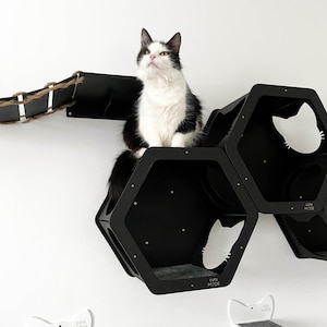 Cat Wall Furniture Full Set, Cat Wall Bridge, Cat Wall Steps, Cat Wall Shelves, Cat Wall Bed, Cat Hexagon, Cat Lover Gift, Cat Activity Gift