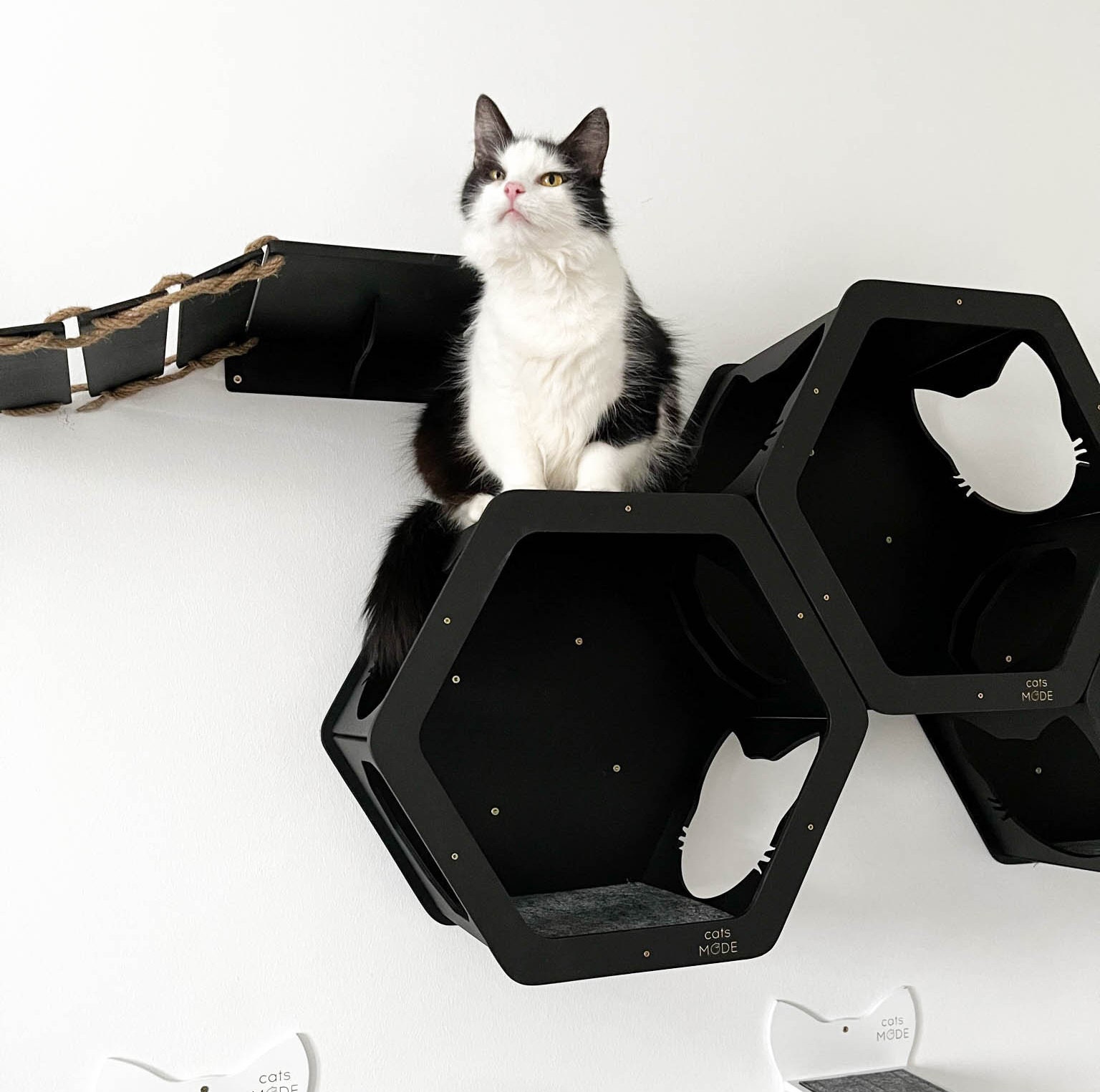 Cat Wall Furniture Full Set, Cat Wall Bridge, Cat Wall Steps, Cat Wall Shelves, Cat Wall Bed, Cat Hexagon, Cat Lover Gift, Cat Activity Gift