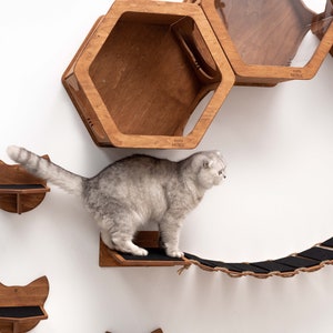 Cat Wall Furniture Gifts for Pets Cat Shelves Cat Steps Cat Climbing Wall Shelves Cat Walk Wall Cat Ladder for Wall Gift for Cats Catsmode image 10