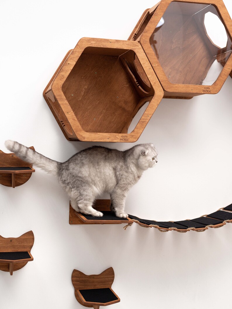 Cat Wall Furniture Gifts for Pets Cat Shelves Cat Steps Cat Climbing Wall Shelves Cat Walk Wall Cat Ladder for Wall Gift for Cats Catsmode image 10