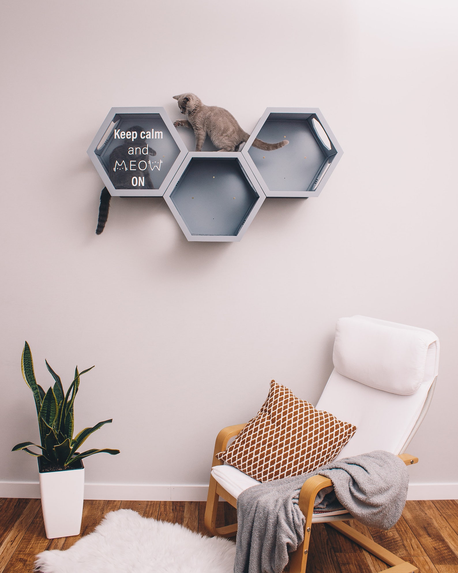 Cat Hexagon Shelves Wall Mount Cat Furniture Cat Shelf Wall Etsy