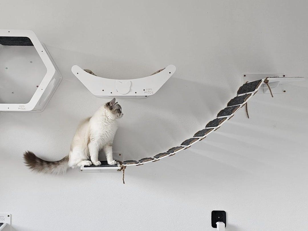 Handmade Cat Wall Bridge, Wooden Cat Climbing Shelf, Wall Mounted Cat ...