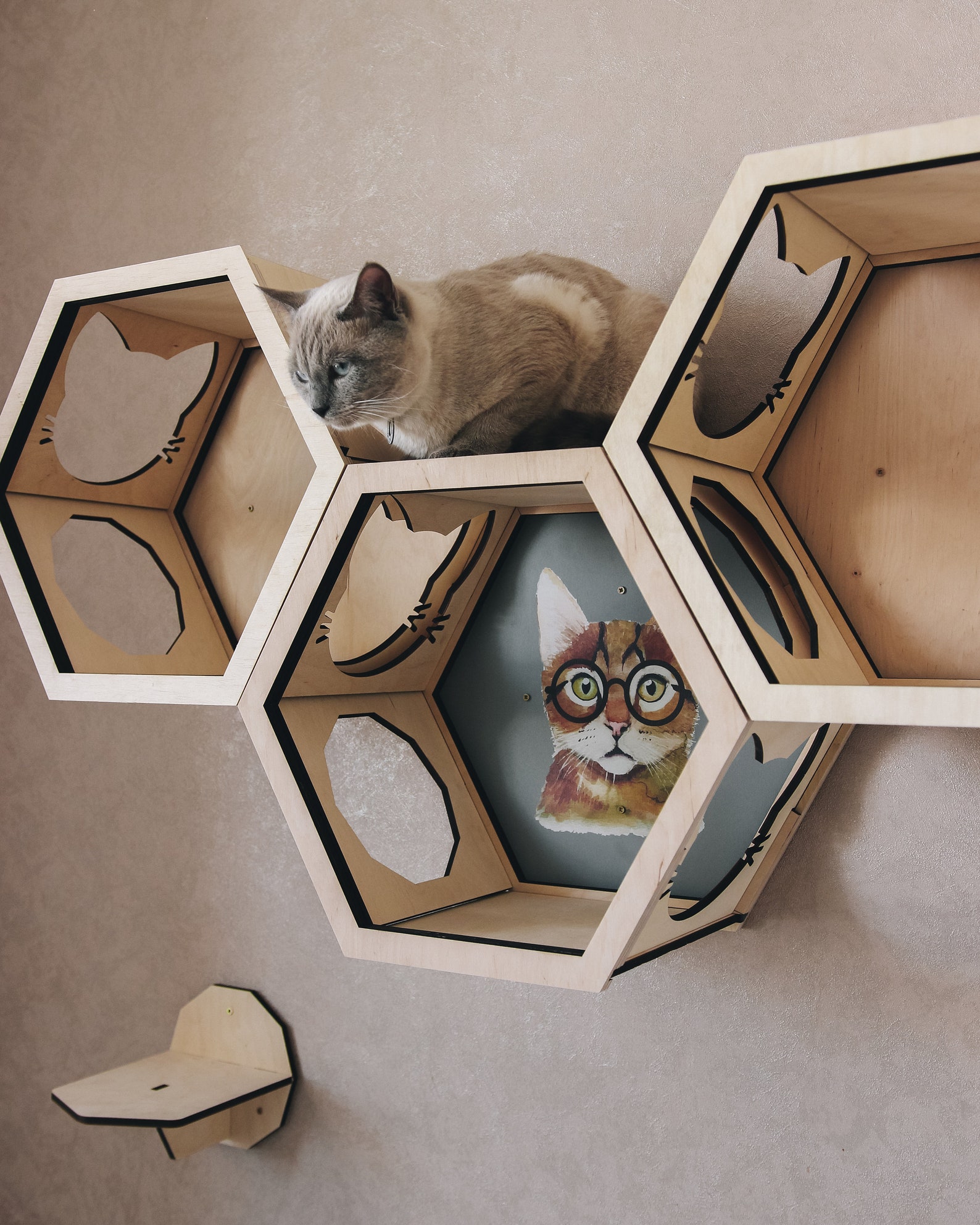 Cat Wall Furniture Hexagon with Print Cat Wall Furniture Etsy