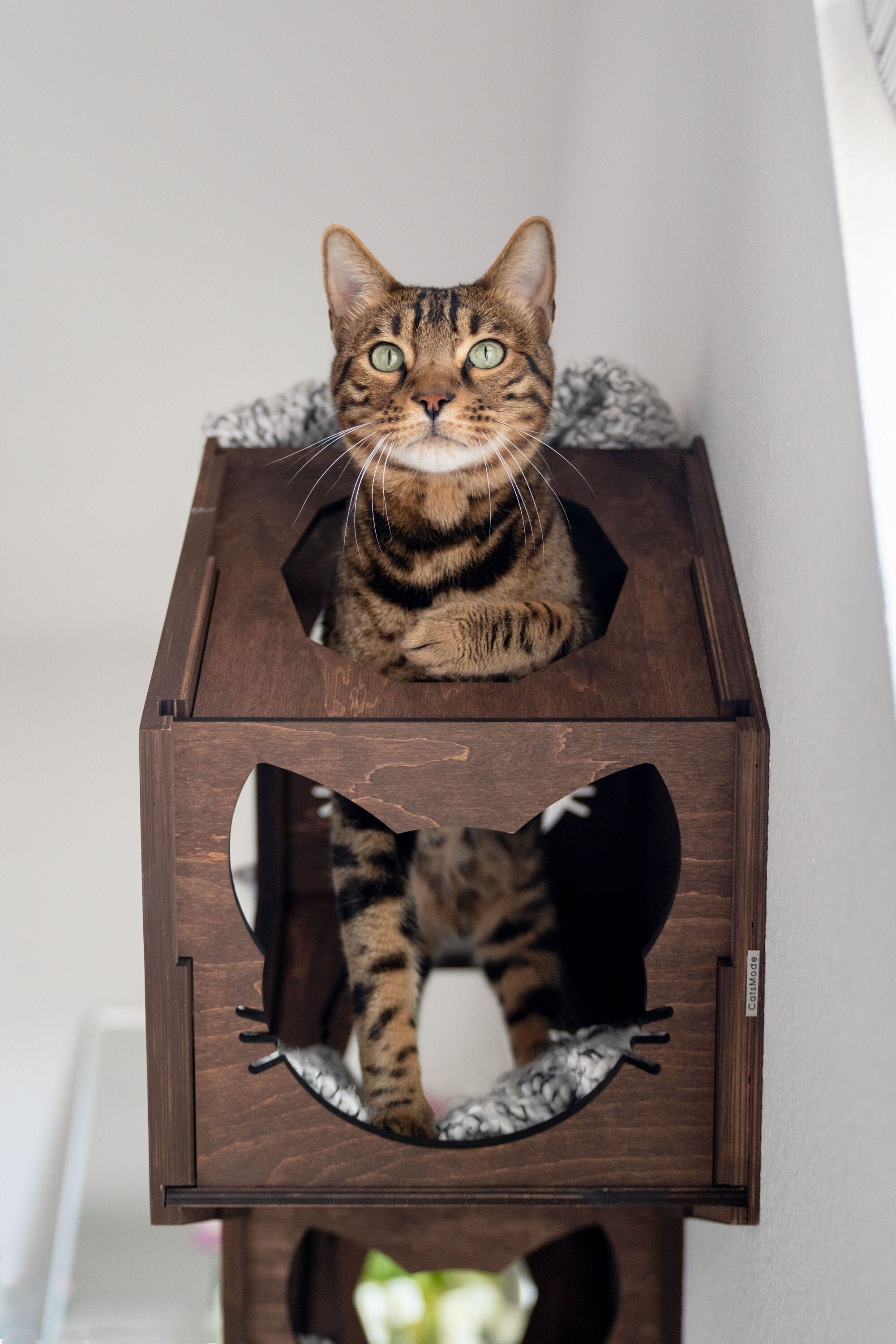 Cat Furniture Wall Mounted Cat Bed Pet Furniture Cat Shelves Etsy