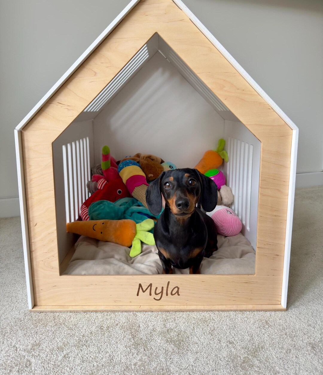 Dog Crate, Dog House, Dog Crate Furniture, Modern Dog Crate, Wooden Dog ... - Crate Dog House With Radio
