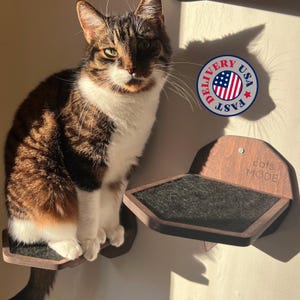 May include: A brown and white tabby cat sits on a wall-mounted wooden cat shelf with a dark gray carpeted surface. A second identical shelf is mounted nearby, featuring the text 'cats MODE' engraved on the wooden back panel.