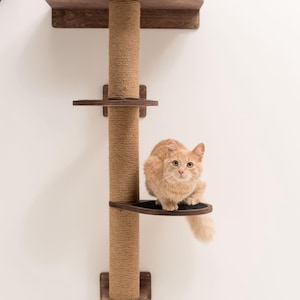 May include: A brown wooden cat tree with a sisal rope scratching post and three platforms. A ginger cat is sitting on the top platform looking at the camera.