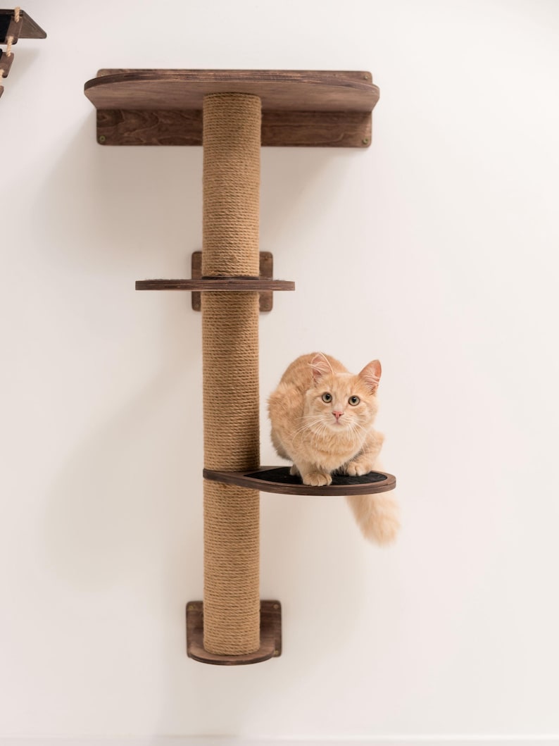 May include: A brown wooden cat tree with a sisal rope scratching post and three platforms. A ginger cat is sitting on the top platform looking at the camera.