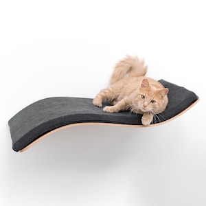 Può includere: Un gatto arancione chiaro si rilassa su una cuccia curva grigia. Il letto ha una struttura in legno e un cuscino grigio scuro. Il gatto guarda la fotocamera, con la coda arricciata. La cuccia è montata su un muro bianco.