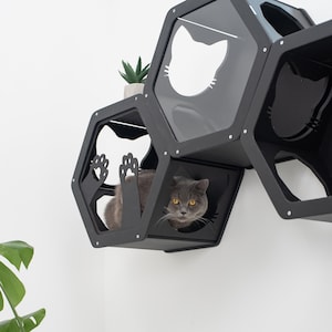Modern cat furniture, Cat house wall, Wall shelves for cat, Cat shelves, Cat climbing wall shelf, Cat shelves for wall, Wooden cat hexagon