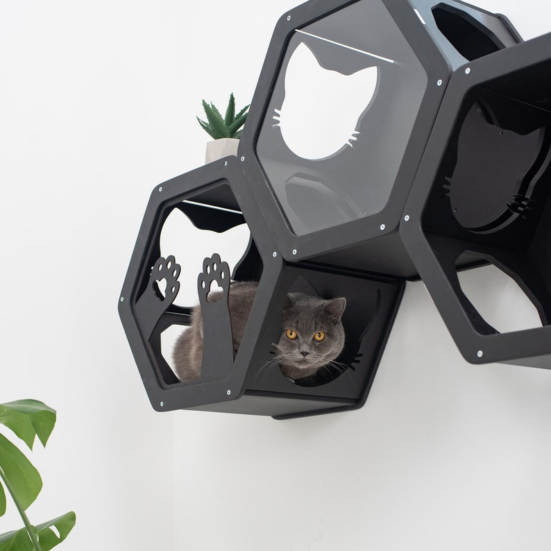 Wall shelves for cat, Cat shelves, Cat climbing wall shelf, Cat house wall, Cat shelves for wall, Modern cat furniture, Wood cat hexagon image 10