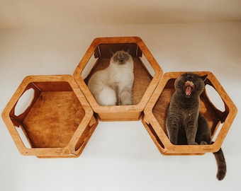 Cat wall hexagon, Modern cat furniture, Cat shelves for wall, Cat hexagon shelf, Cat activity gym set, Cat toy, Cat wall bed, Cat wall bridg