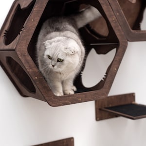 Cat Wall Furniture Gifts for Pets Cat Shelves Cat Steps Cat Climbing Wall Shelves Cat Walk Wall Cat Ladder for Wall Gift for Cats Catsmode image 7